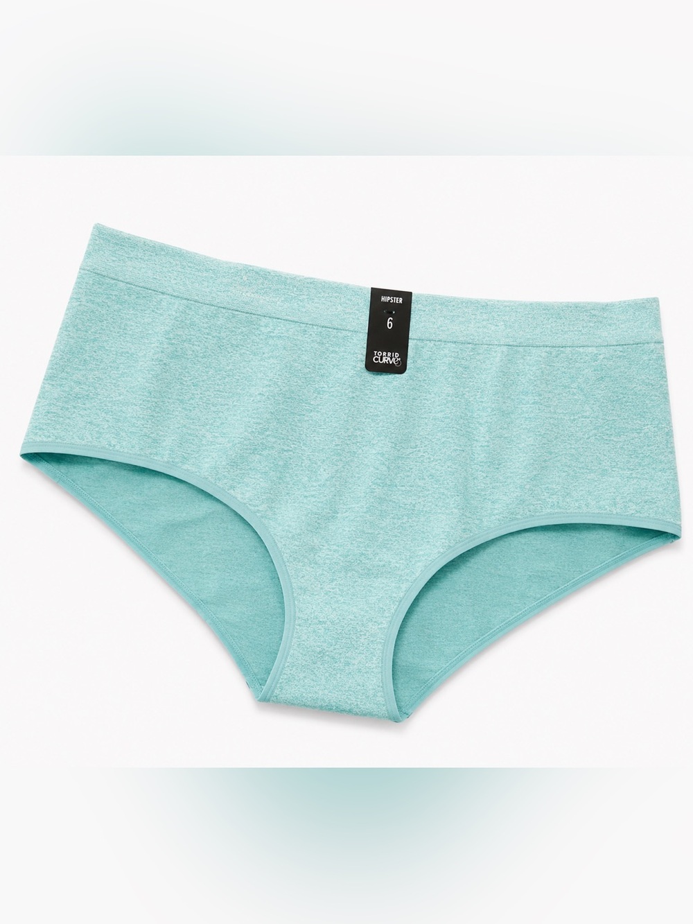 TORRID Hipster Briefs in Light Teal